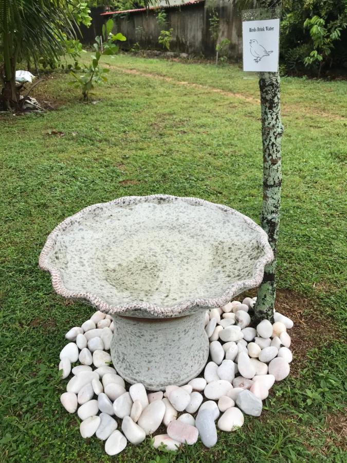 Seri Pengkalan Homestay Bachok Εξωτερικό φωτογραφία