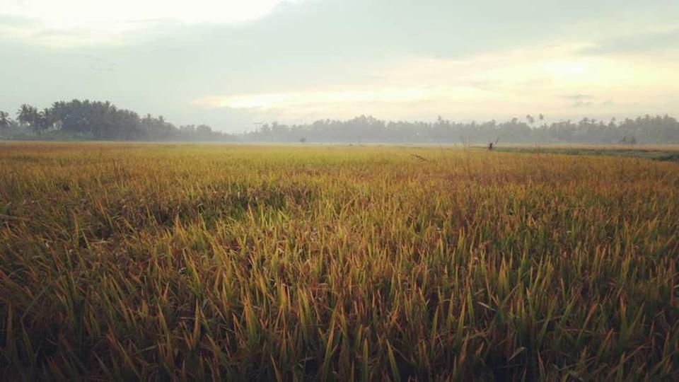 Seri Pengkalan Homestay Bachok Εξωτερικό φωτογραφία