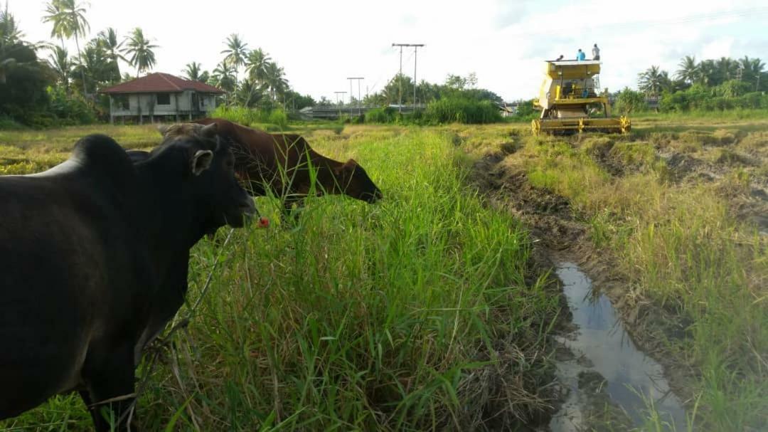 Seri Pengkalan Homestay Bachok Εξωτερικό φωτογραφία